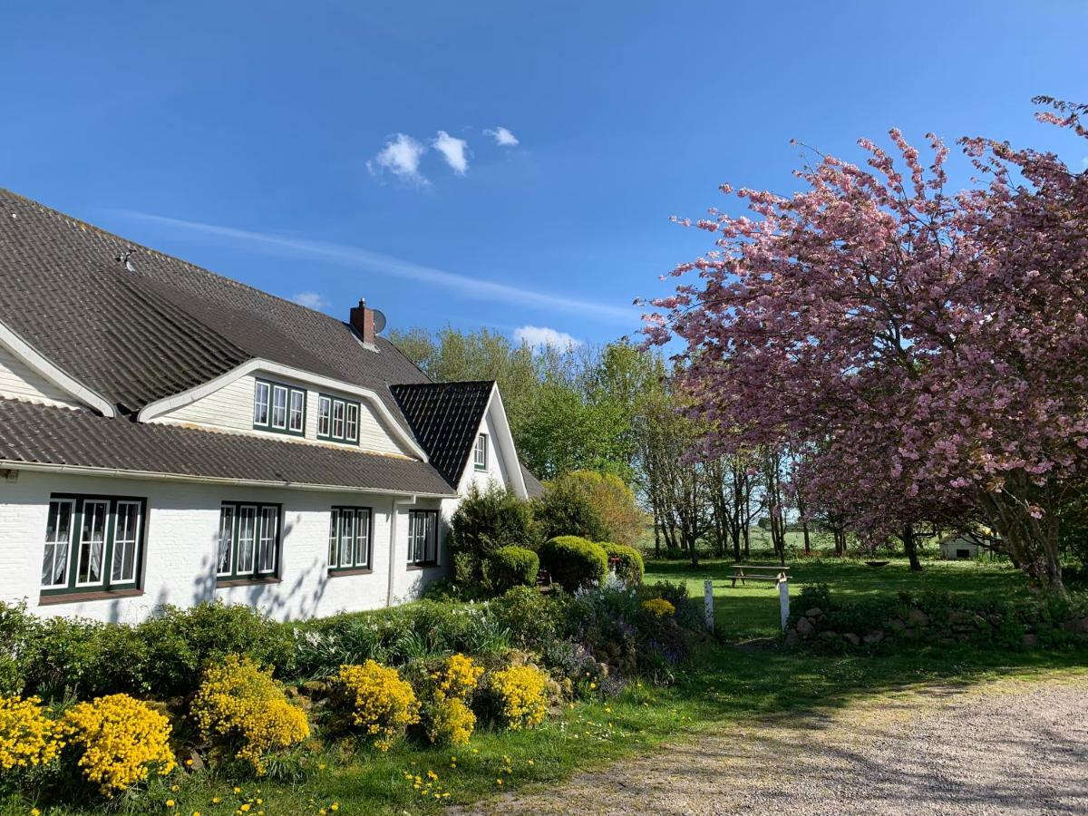 Landhaus Haack Tumlauer Koog Extérieur photo